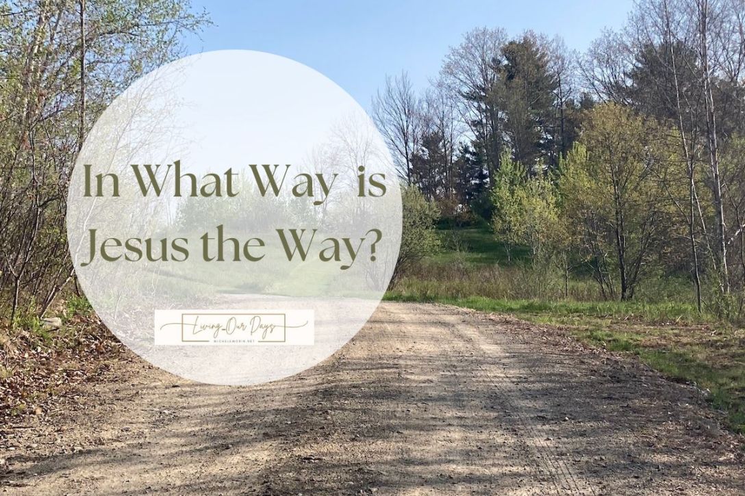 In What Way Is Jesus the Way?